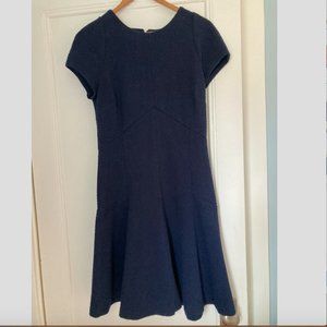 Banana Republic Blue Dress Size 10